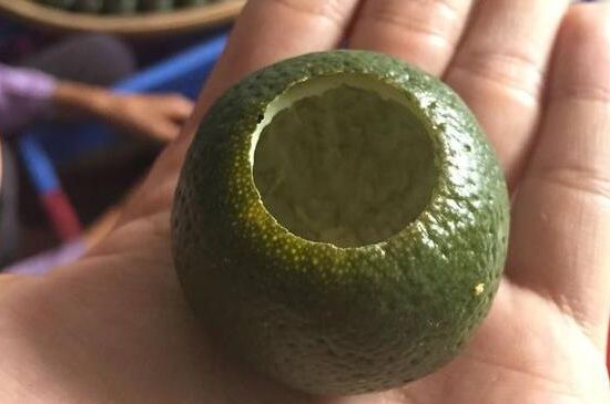 家庭自制柑普茶方法，小青柑制作9個(gè)步驟竅門（圖片）