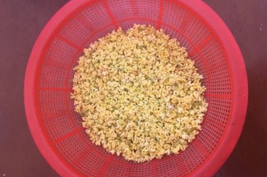 干桂花茶的制作方法，怎樣自制桂花茶？