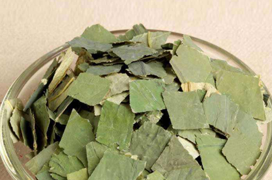 荷葉茶每天喝多少合適，什么時候喝最好？