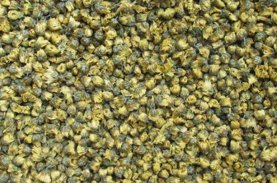 菊花茶大朵小朵有什么區(qū)別，菊花喝大朵還是小朵？