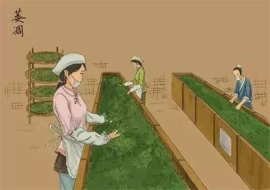 制茶八步驟，制茶工藝流程圖