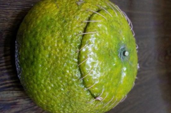 家庭自制柑普茶方法，小青柑制作9個(gè)步驟竅門（圖片）