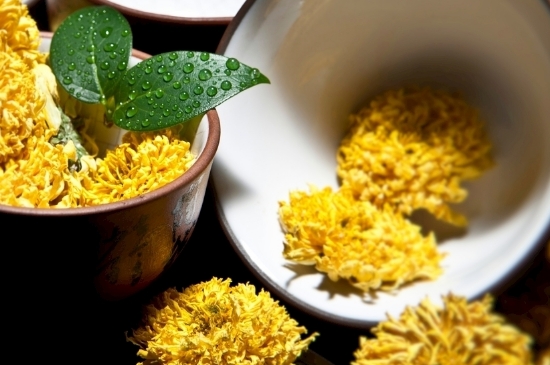 孕婦可以喝菊花茶嗎，菊花對胎兒有致畸作用？