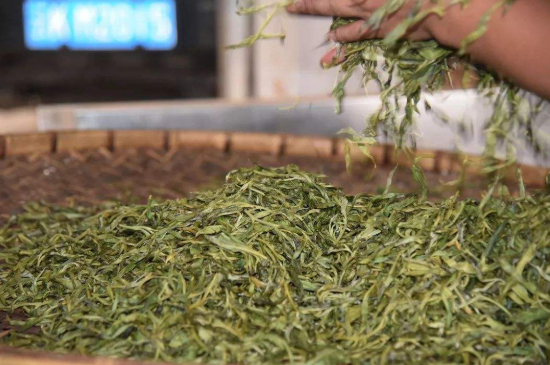 炒青綠茶與綠茶的區(qū)別，烘青和炒青哪個好喝？