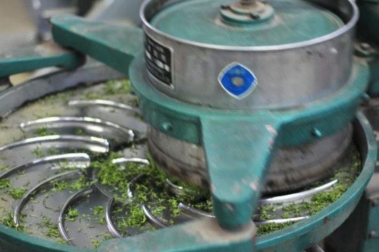武夷巖茶的初制、精制加工工藝詳細講解