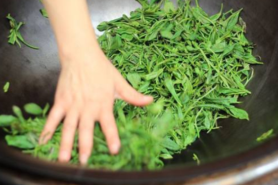 炒青綠茶與綠茶的區(qū)別，烘青和炒青哪個好喝？