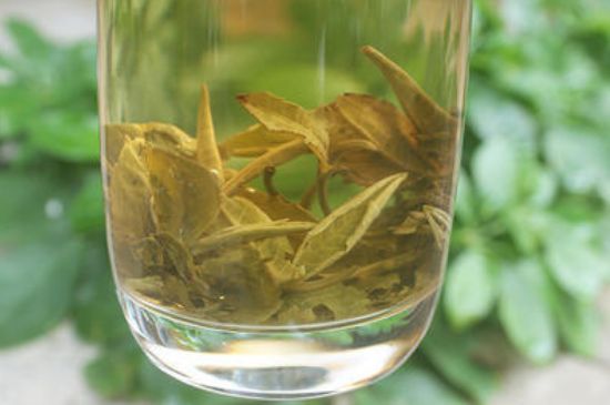 茉莉龍珠泡開后為什么都是梗，茉莉龍珠泡開后什么樣？