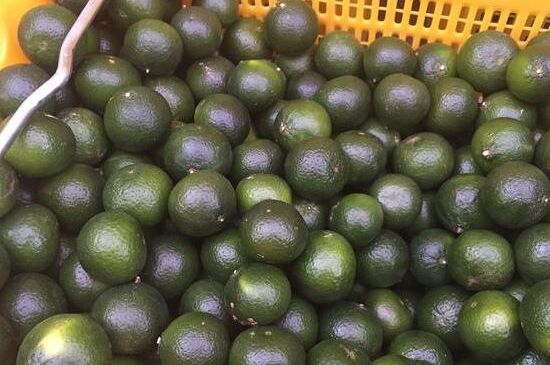 家庭自制柑普茶方法，小青柑制作9個(gè)步驟竅門（圖片）