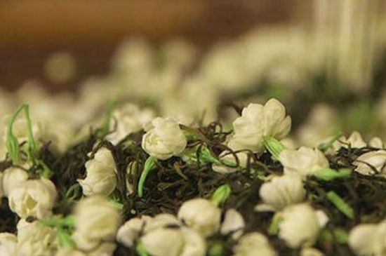 蒸茶器可以蒸花茶嗎，蒸茶器能用來蒸茉莉花茶嗎？