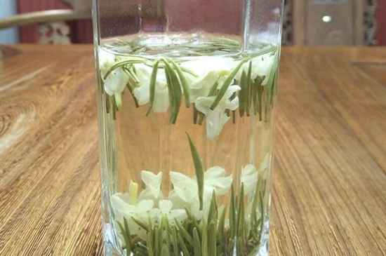 女孩喝茉莉茶的好處，茉莉茶葉的功效與禁忌