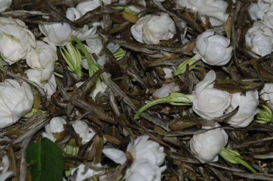 茉莉龍珠怎么做的，茉莉龍珠的制作工藝