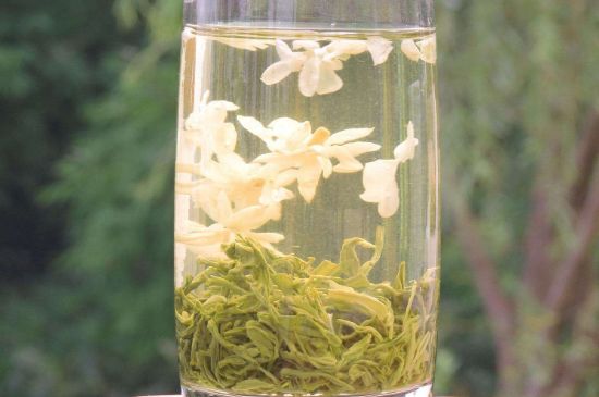 茉莉龍珠可以和什么一起泡茶，茉莉龍珠茶能加蜂蜜嗎？