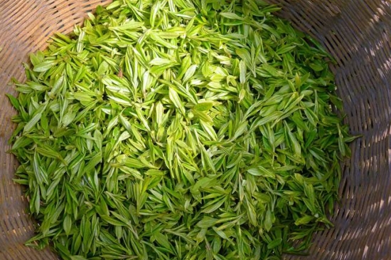 烏牛早和龍井的區(qū)別圖片，龍井43號和烏牛早茶的對比