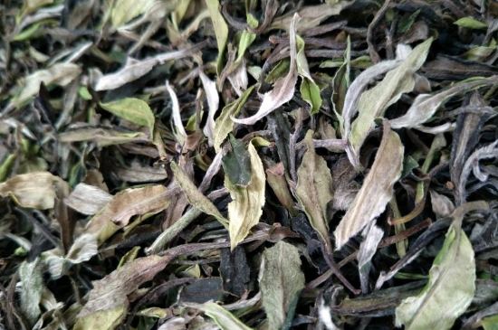 福鼎白茶貢眉和壽眉的區(qū)別，壽眉與貢眉有什么區(qū)別