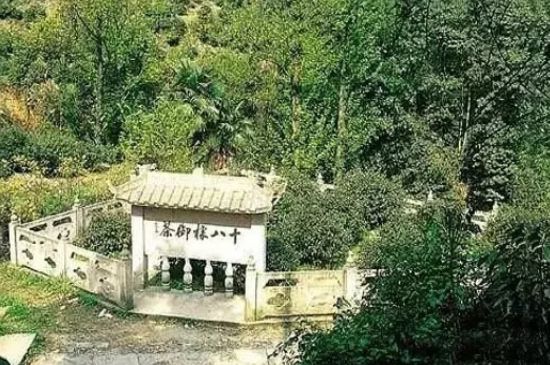 母樹大紅袍給誰喝了，為什么母樹大紅袍叫三棵六株？