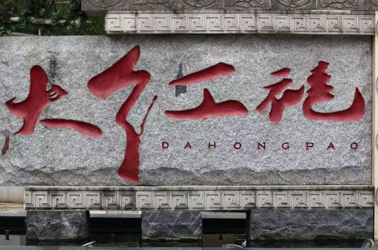 母樹大紅袍給誰喝了，為什么母樹大紅袍叫三棵六株？