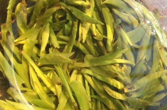 龍井是明前的好還是雨前的好，明前茶和雨前茶哪個好喝？