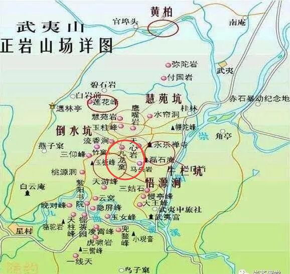 母樹大紅袍給誰喝了，為什么母樹大紅袍叫三棵六株？