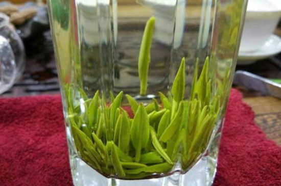 雀舌有一股青草味，雀舌為什么有青草味？