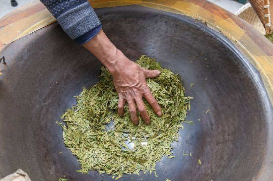 雀舌有一股青草味，雀舌為什么有青草味？