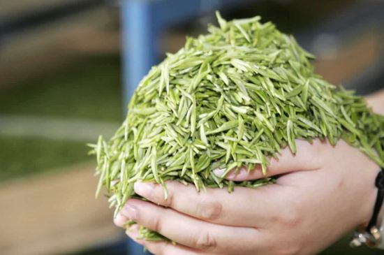 高山云霧茶屬于什么茶，高山云霧茶哪里的最好