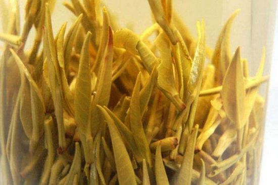 黃茶不適合哪些人喝，黃茶的功效與作用禁忌