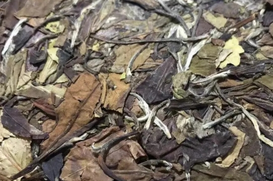 老白茶上火還是去火？夏季喝煮的老白茶會容易上火！