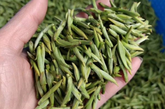 龍井茶好壞的鑒別圖片，如何區(qū)別龍井茶的好壞？