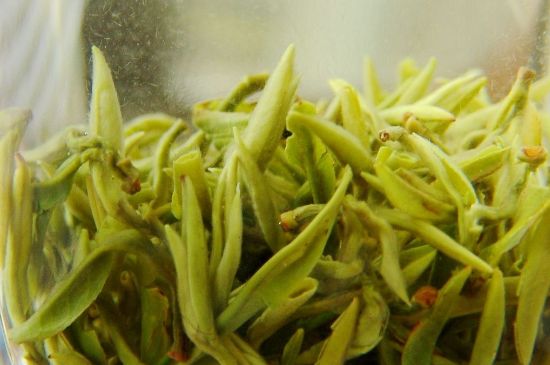 碧螺春為什么泡水渾濁，碧螺春茶葉泡水感覺很臟是混濁的