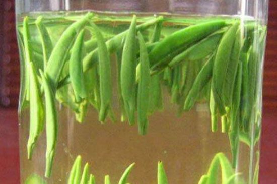 竹葉青和毛尖的區(qū)別，毛尖和竹葉青怎么分辨？