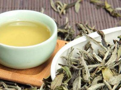 大紅袍好還是白茶好，福鼎白茶和大紅袍哪個貴？