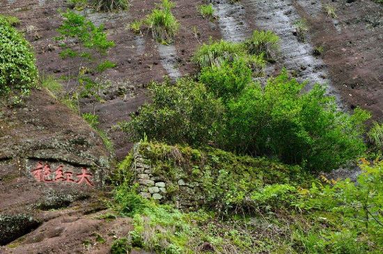 武夷巖茶大紅袍，喝起來是什么味道？