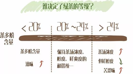 什么綠茶口味重口感濃郁，口味比較重的綠茶都有那些？