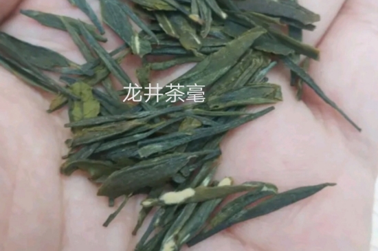 西湖龍井茶毫和發(fā)霉區(qū)別圖片，長霉的龍井茶葉會是什么樣？