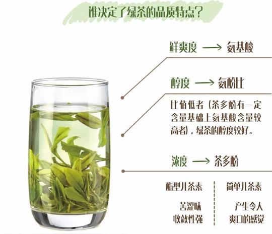 什么綠茶口味重口感濃郁，口味比較重的綠茶都有那些？