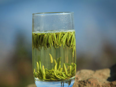 竹葉青茶怎么樣，檔次較高味道略苦價(jià)格比較貴