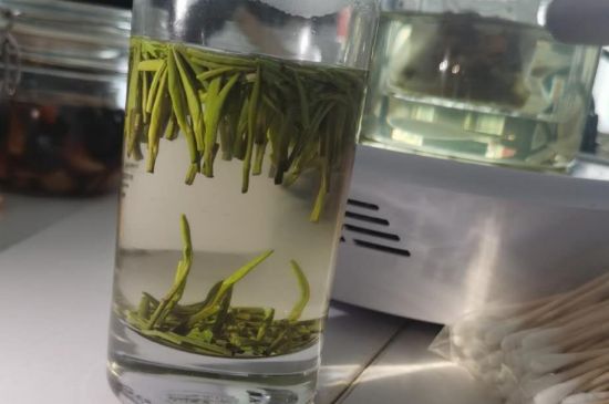 金壇雀舌算不算好茶，金壇雀舌屬于什么檔次茶葉？