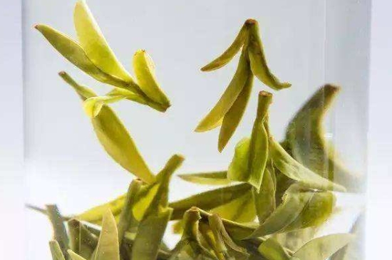 烏牛早和龍井的區(qū)別圖片，龍井43號和烏牛早茶的對比