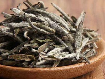 白茶有哪些品種排名，<a href=http://www.sdkjzx.com/fenlei/baicha/ target=_blank class=infotextkey>白茶的種類</a>大全