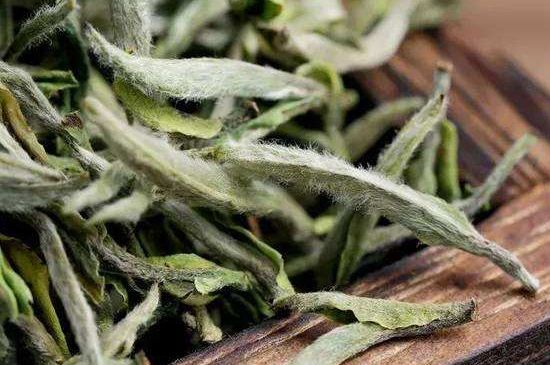 荒野銀針有什么特點，荒野銀針的味道口感咋樣？