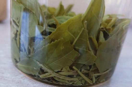 綠茶陳茶和新茶區(qū)別，綠茶怎樣區(qū)分新茶和陳茶