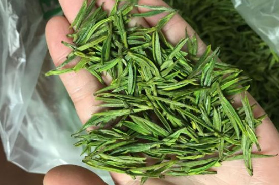 什么綠茶茶葉唇齒留香，哪個品種綠茶香氣好？