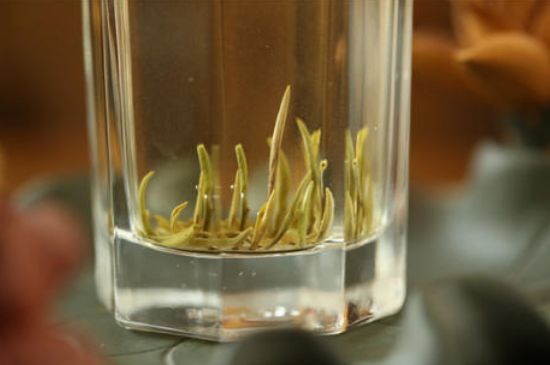 踏雪蘭妃是什么茶，踏雪蘭妃是哪里的茶葉?