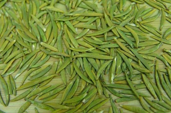 竹葉青和毛尖的區(qū)別，毛尖和竹葉青怎么分辨？