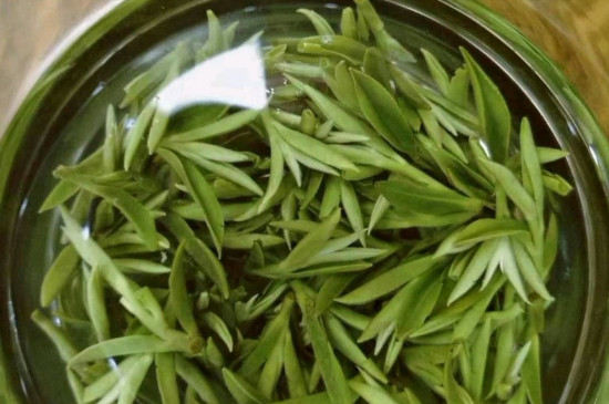 什么綠茶茶葉唇齒留香，哪個品種綠茶香氣好？