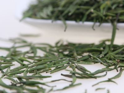 霍山黃芽算是好茶嗎，霍山黃芽屬于什么茶？