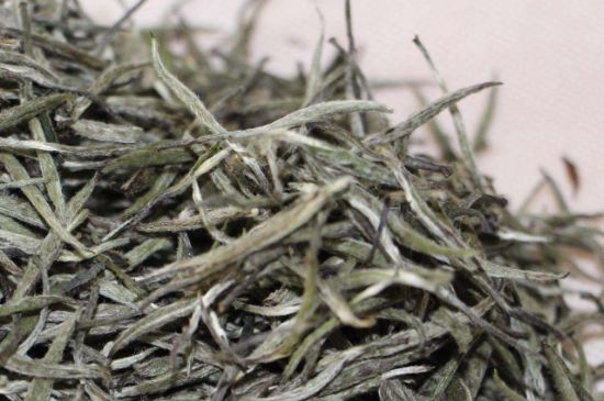 什么人不能喝白茶，白茶不宜什么人喝？