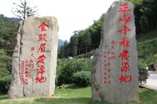 300塊錢的金駿眉能喝嗎，兩三百多金駿眉和一千多區(qū)別