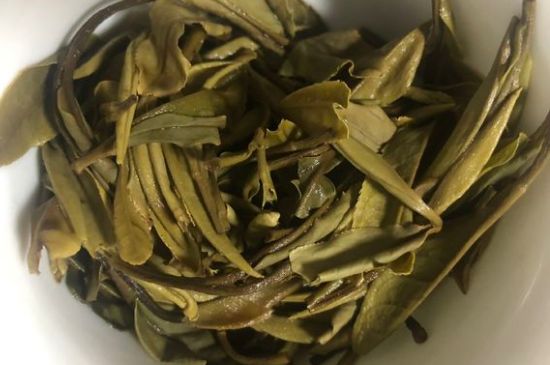 三年白茶賽砒霜，這是真的嗎？