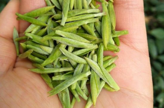 什么綠茶味道濃香，那個(gè)綠茶比較濃香？